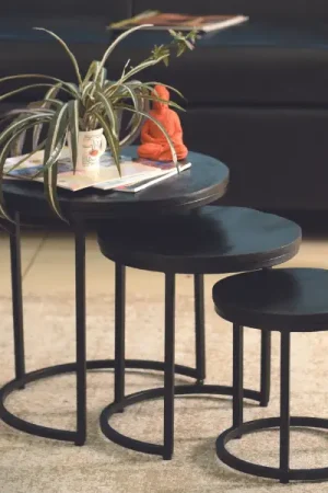 Set van 3 salontafels Amana Ø 45 cm-zwart mangohout Koopje