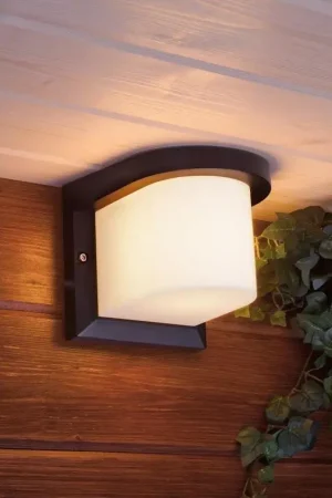 Aanbieding Wandlamp voor buiten PETUNIA 1xE27/60W/230V IP44 antraciet