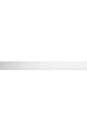 Afvoergoot 99,5x2,3 cm RVS/zilverkleurig Populair