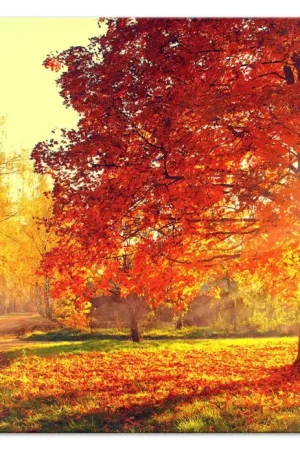 Kunstdruk op canvas 'Autumn Afternoon Wide' Merkproduct