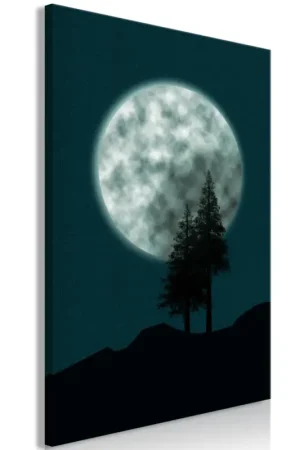 Favoriet Kunstdruk op canvas 'Beautiful Full Moon Vertical'