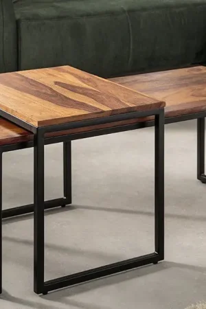 Salontafel 2-delig Elements Massief Sheesham Hout - 41069 Betrouwbaar
